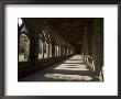 Cloisters, Durham Cathedral, Unesco World Heritage Site, Durham, County Durham, England by Ethel Davies Limited Edition Print