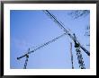 Construction Cranes Stand Against A Clear Blue Sky by Stephen Alvarez Limited Edition Print