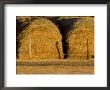 Hay Stacks, Wyoming, Usa by Terry Eggers Limited Edition Pricing Art Print