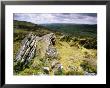 Hookney Tor In Stormy Summer Weather, Devon, Uk by David Clapp Limited Edition Print