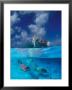 Female Divers Submerged Below Catamaran by Amos Nachoum Limited Edition Print