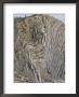 Folded Limestone And Shale, Jurassic Period, Stair Hole, Lulworth, Dorset, England by Tony Waltham Limited Edition Print