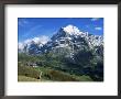 The Wetterhorn, Near Grindelwald, Bernese Oberland, Swiss Alps, Switzerland by Hans Peter Merten Limited Edition Pricing Art Print