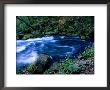 Big Spring, Ozarks National Scenic Riverways, Ozark National Park, Missouri by John Elk Iii Limited Edition Pricing Art Print