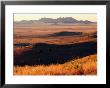Davis Mountains State Park And Marfa Plain From Park Scenic Drive, Marfa, Texas by Witold Skrypczak Limited Edition Print