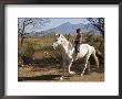 Boy Riding White Horse Bareback With Volcan Mombacho In Background, Granada, Nicaragua by Margie Politzer Limited Edition Pricing Art Print
