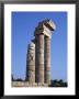 The Rhodes Acropolis At Monte Smith, Rhodes, Dodecanese Islands, Greece by Tom Teegan Limited Edition Pricing Art Print