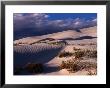 Dunes Of The Great Australian Bight, Australia by Diana Mayfield Limited Edition Print