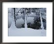 Winter In The Countryside by Mattias Klum Limited Edition Pricing Art Print