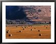 Bales Of Hay In A Farmers Field by Kate Thompson Limited Edition Pricing Art Print