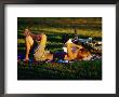 Kicking Back In Butler Park East, Austin, Texas by Richard Cummins Limited Edition Pricing Art Print