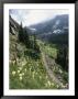 Woman Hiking On Sperry Chalet Trail, Glacier National Park, Montana by Skip Brown Limited Edition Print