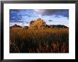 Landscape Of Isalo National Park, Fianarantsoa, Madagascar by Karl Lehmann Limited Edition Print