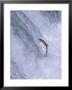 Sockeye Salmon Jump Up Brooks Falls On Migration To Spawn In Brooks Lake, Alaska, Usa by Hugh Rose Limited Edition Print