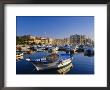 View Across Harbour To Town And Citadel, Calvi, Corsica, France, Europe by Ruth Tomlinson Limited Edition Print