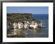 Flamborough Head, East Yorkshire, Yorkshire, England, United Kingdom by David Hunter Limited Edition Print