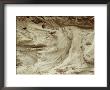Patterns Of Wind Erosion On Sand by Norbert Rosing Limited Edition Print