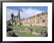 Byland Abbey, Managed By English Heritage, North Yorkshire, England, United Kingdom by David Hunter Limited Edition Print