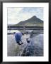 Salt Workers, Mauritius, Indian Ocean, Africa by Alain Evrard Limited Edition Print