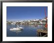 Fishing Boats Entering Husavik Harbour, Skjalfandi Bay, North Area, Iceland, Polar Regions by Neale Clarke Limited Edition Pricing Art Print