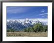 Teton Mountain Range, Grand Teton National Park, Wyoming, Usa by Jean Brooks Limited Edition Print