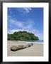 Driftwood On A Tropical Beach Bordered By Rain Forest by Mattias Klum Limited Edition Pricing Art Print