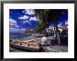 Gommiers, Wooden Fishing Boats, Bellefontaine, Fwi by Walter Bibikow Limited Edition Print