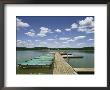 Row Of Boats Lined Up Against A Floating Dock On Shepherd Lake by Steve Winter Limited Edition Print