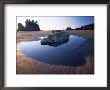 Second Beach, Olympic National Park, Unesco World Heritage Site, Washington State, Usa by Colin Brynn Limited Edition Print