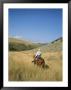 A Cowboy Rides His Horse Looking For Cattle On His Land by Taylor S. Kennedy Limited Edition Print
