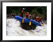 Rafting On The Chiriqui River, Panama by Alfredo Maiquez Limited Edition Print