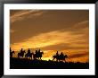 Men Riding Horses At Sunset, U.S.A. by Curtis Martin Limited Edition Print