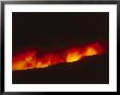 Flames From A Forest Fire Lick The Skyline by Michael S. Quinton Limited Edition Pricing Art Print