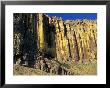Cliff Face In Palouse Falls State Park, Washington, Usa by William Sutton Limited Edition Print