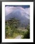 Arenal Volcano, Arenal, Costa Rica by John Coletti Limited Edition Print