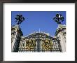Main Gate, Buckingham Palace, London, England, United Kingdom by Brigitte Bott Limited Edition Print