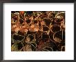 Woven Baskets, Kazimierz Dolny, Lubelskie, Poland by Krzysztof Dydynski Limited Edition Print