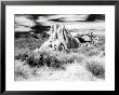 Granite Formation, Joshua Tree National Park, California, Usa by Janell Davidson Limited Edition Print