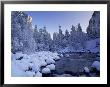 Fresh Snow Fallen On Trees Near Stream by Kyle Krause Limited Edition Print