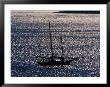 Silhouetted Schooner, Me by Dan Gair Limited Edition Print
