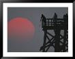 A Harvest Moon Rises Over A Pier Where A Group Of Fishermen Cast Their Lines by Joel Sartore Limited Edition Pricing Art Print