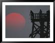 A Harvest Moon Rises Over A Pier Where A Group Of Fishermen Cast Their Lines by Joel Sartore Limited Edition Pricing Art Print