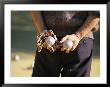 A Man Holding Two Balls Waiting His Turn To Play Bocci by Michael Melford Limited Edition Print