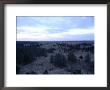 Nebraska National Forest, The Largest Hand-Planted Forest In The U. S. by Joel Sartore Limited Edition Pricing Art Print