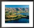 Pisa Range And Lake Dunstan, Central Otago, New Zealand by David Wall Limited Edition Print