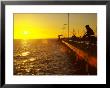 Fisherman, Middle Brighton Pier, Melbourne, Victoria, Australia by David Wall Limited Edition Pricing Art Print