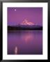 Mt Hood In Moonlight, Lost Lake, Oregon Cascades, Usa by Janis Miglavs Limited Edition Print