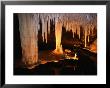 Limestone Formation In Lake Cave, Margaret River, Australia by Wayne Walton Limited Edition Pricing Art Print