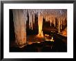 Limestone Formation In Lake Cave, Margaret River, Australia by Wayne Walton Limited Edition Print