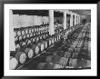 Cellar Of Maturing Wines As Wine Maker Tests With Pipette by Carlo Bavagnoli Limited Edition Print
